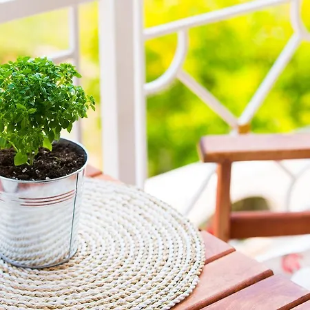 Ioanna Apartamento Potos